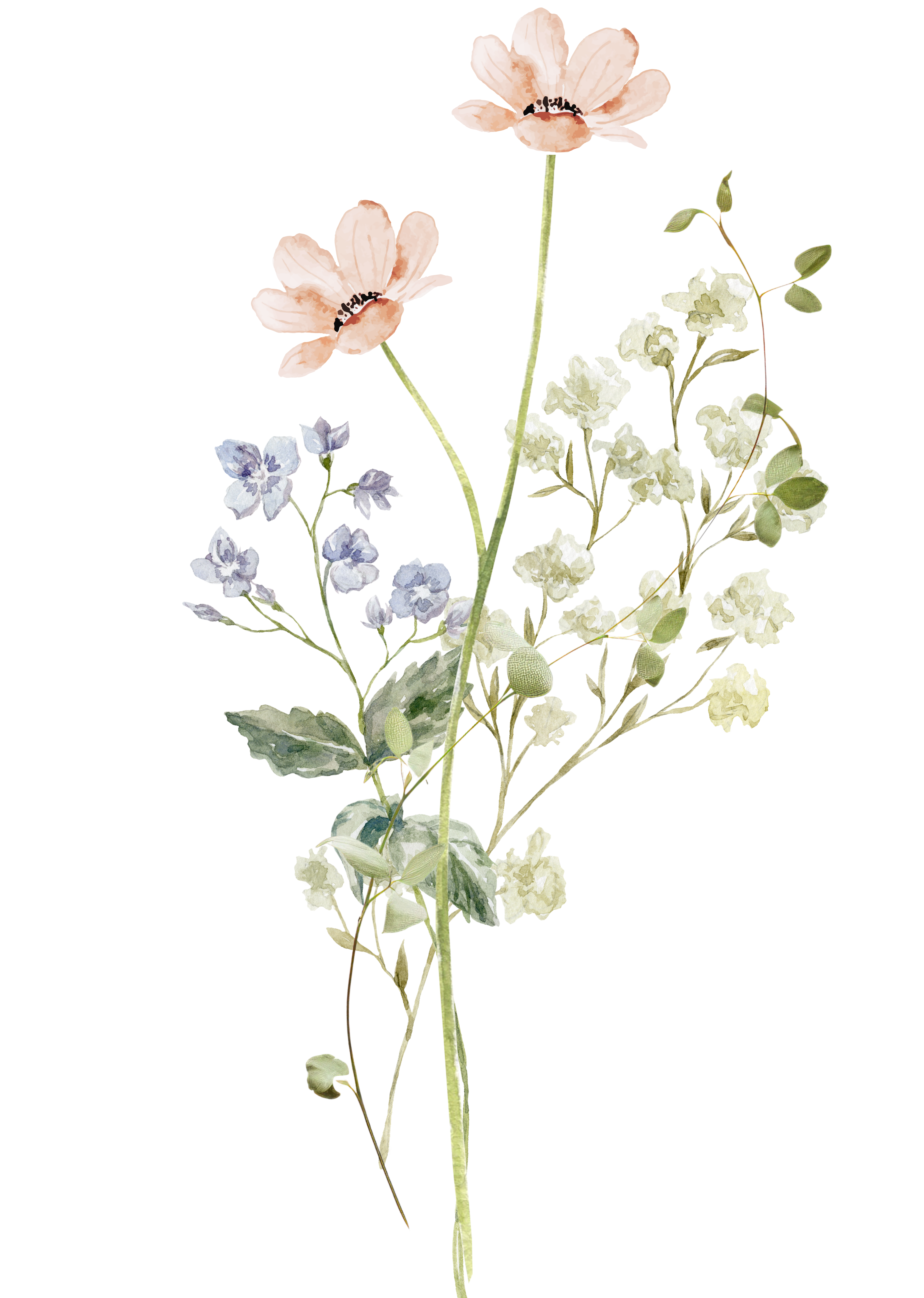 drawing of flower